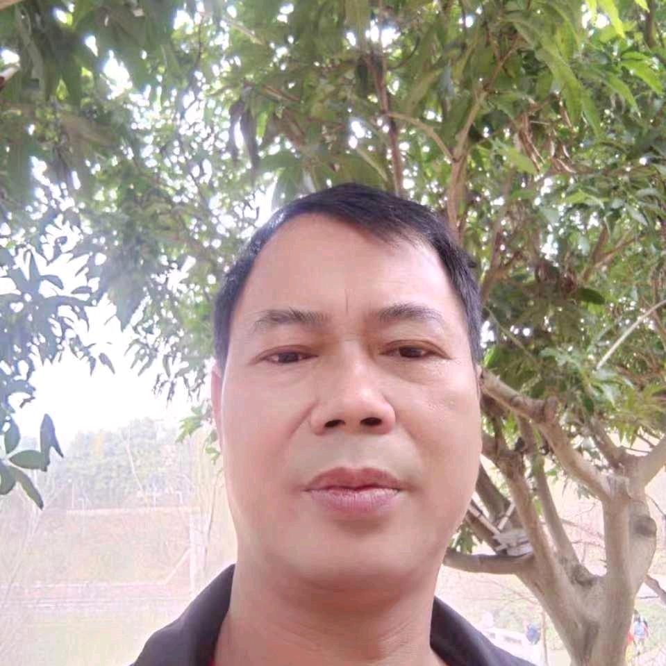 沈志平