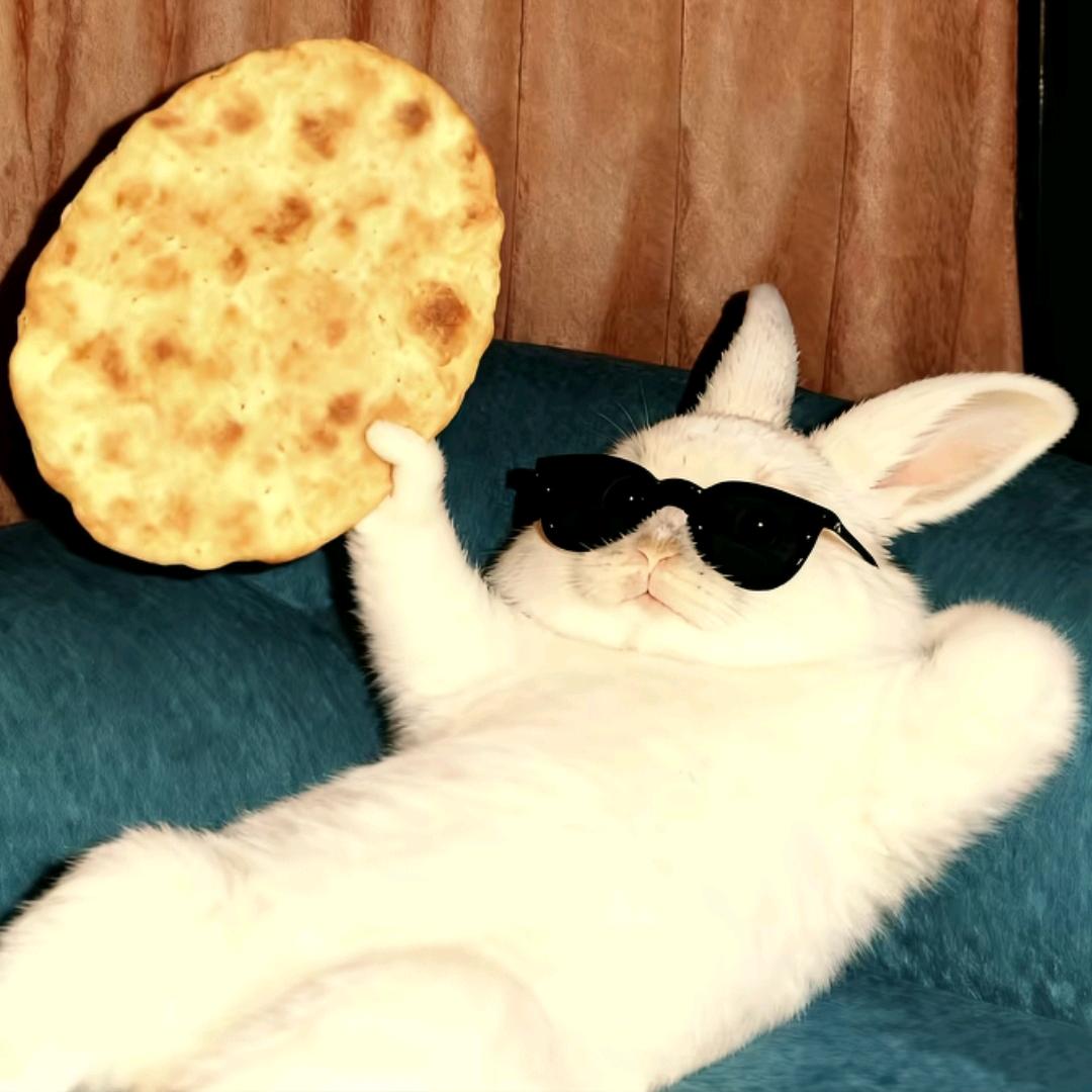 @画饼の坏蛋ꪔ̤̫ 兔子