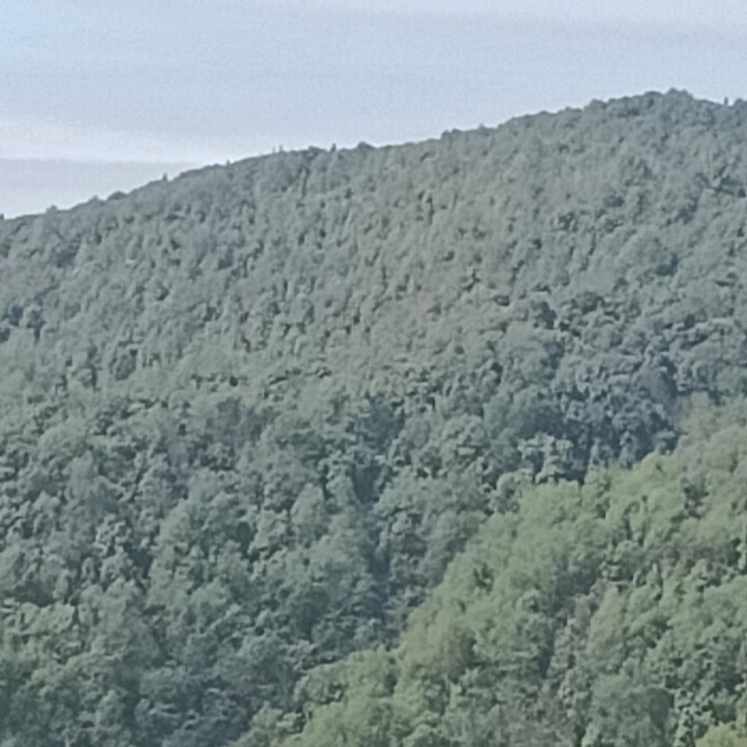 阳光
