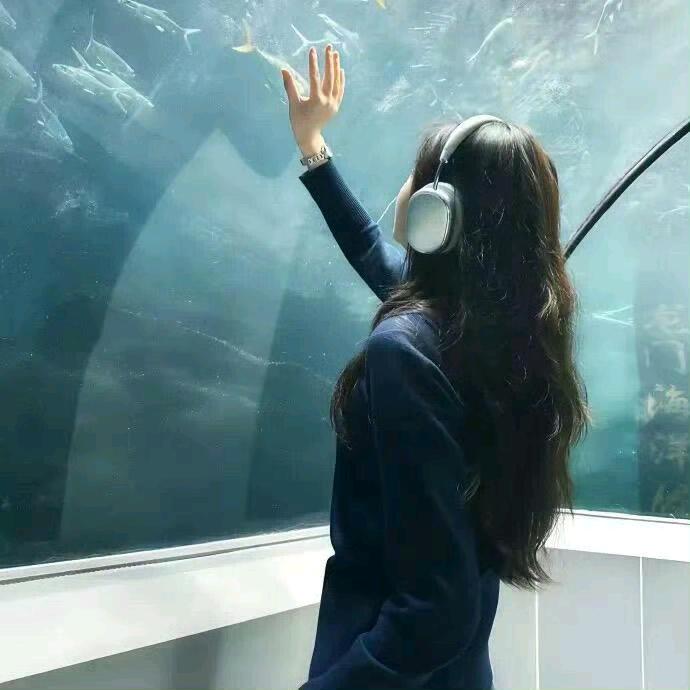 吴所畏惧(努力版)