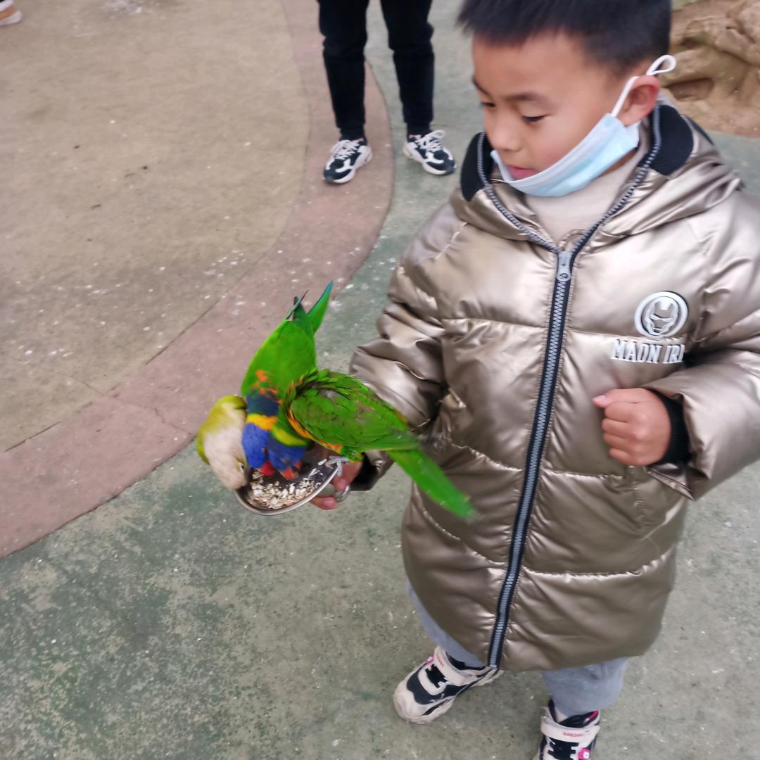心想事成