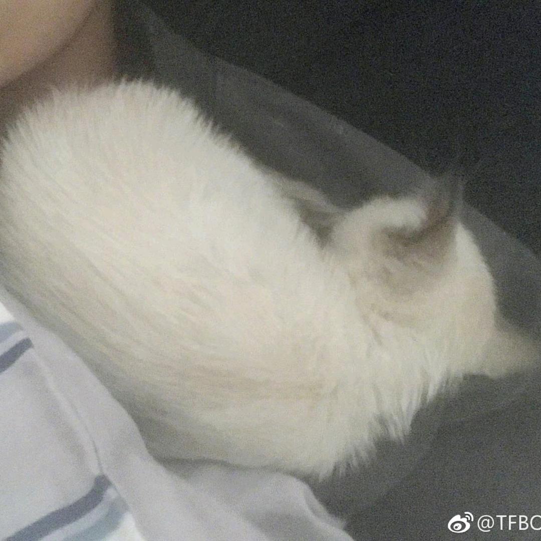 亲爱的Y