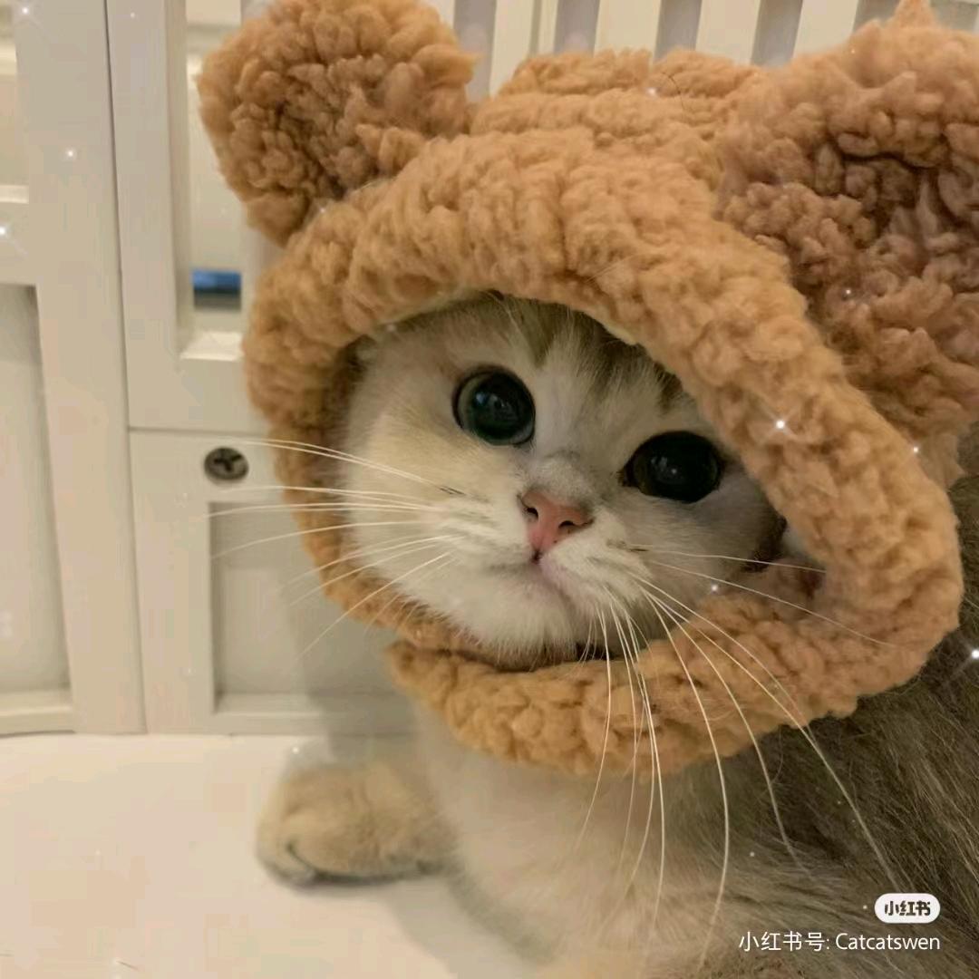 啤梨