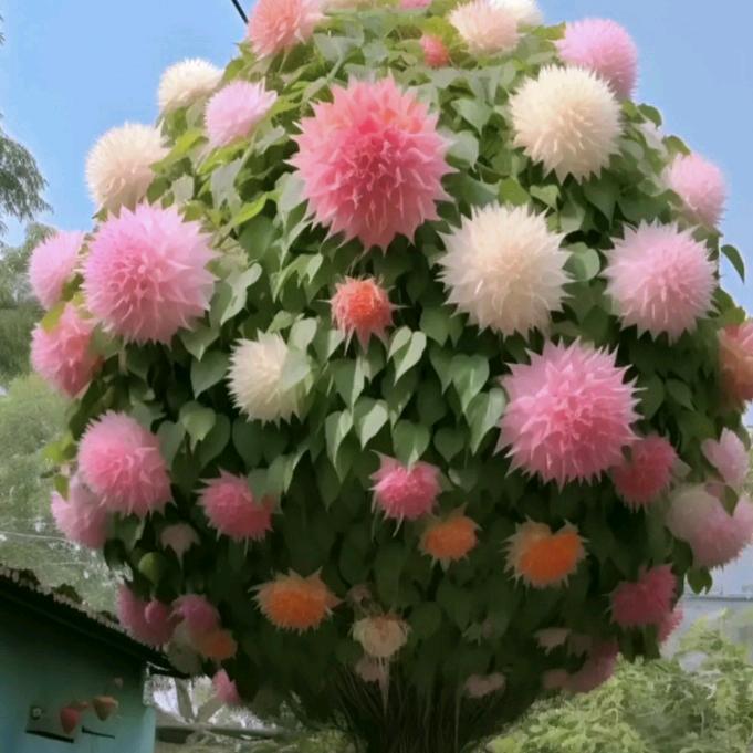 瑞瑞姐