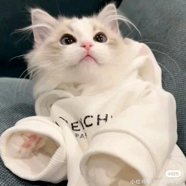 ঞ暮色兮꯭凉໊ꦿ城᭄