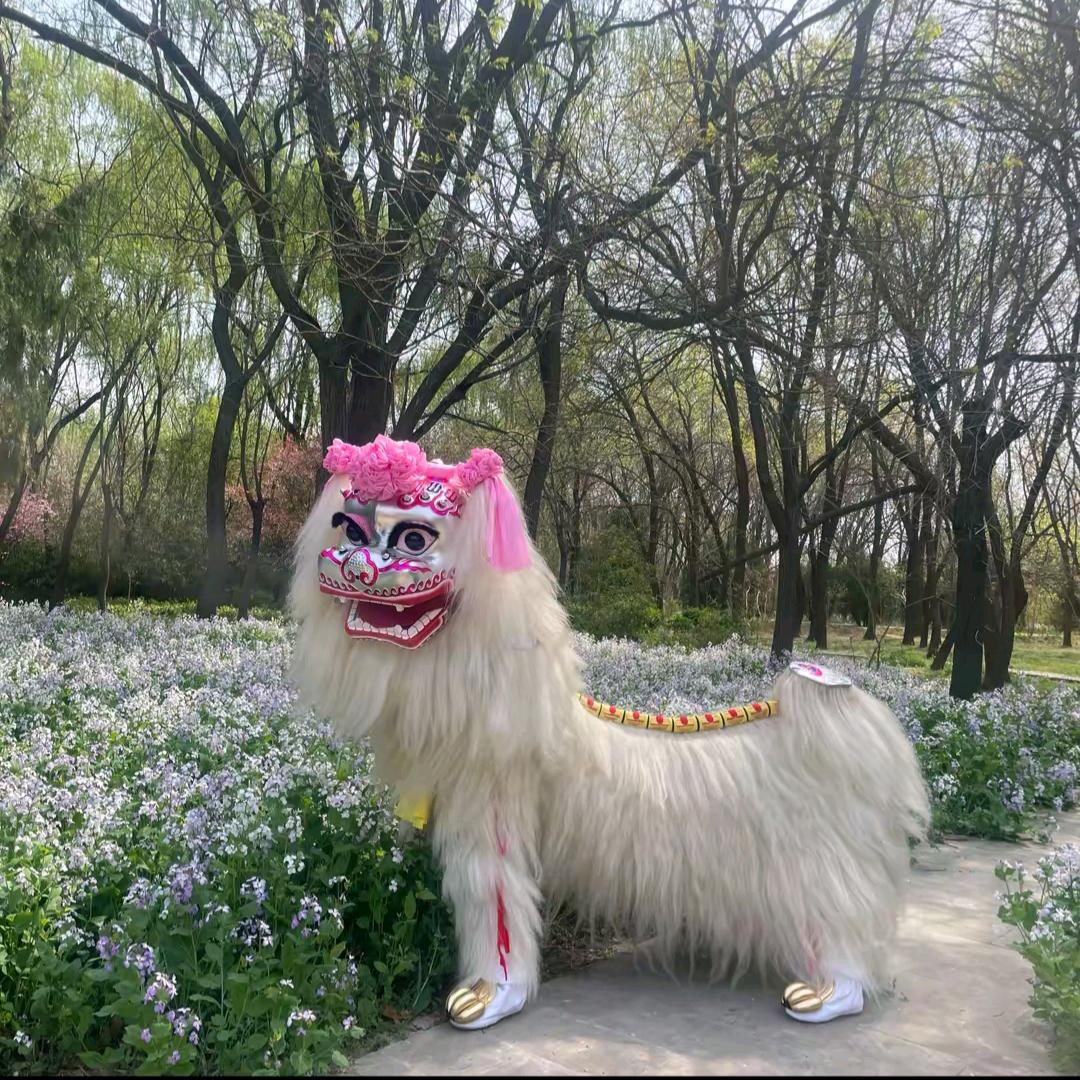 濮阳舞狮姐(可儿)