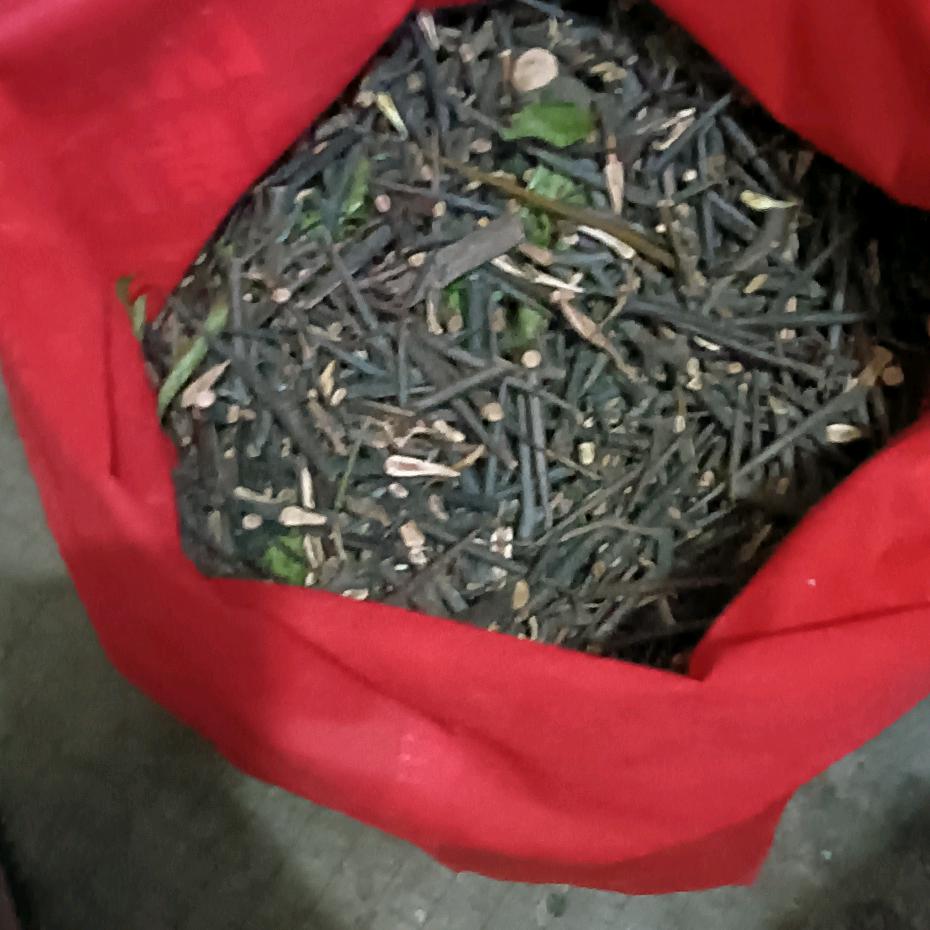 谁都不能靠只有靠自己才是真的