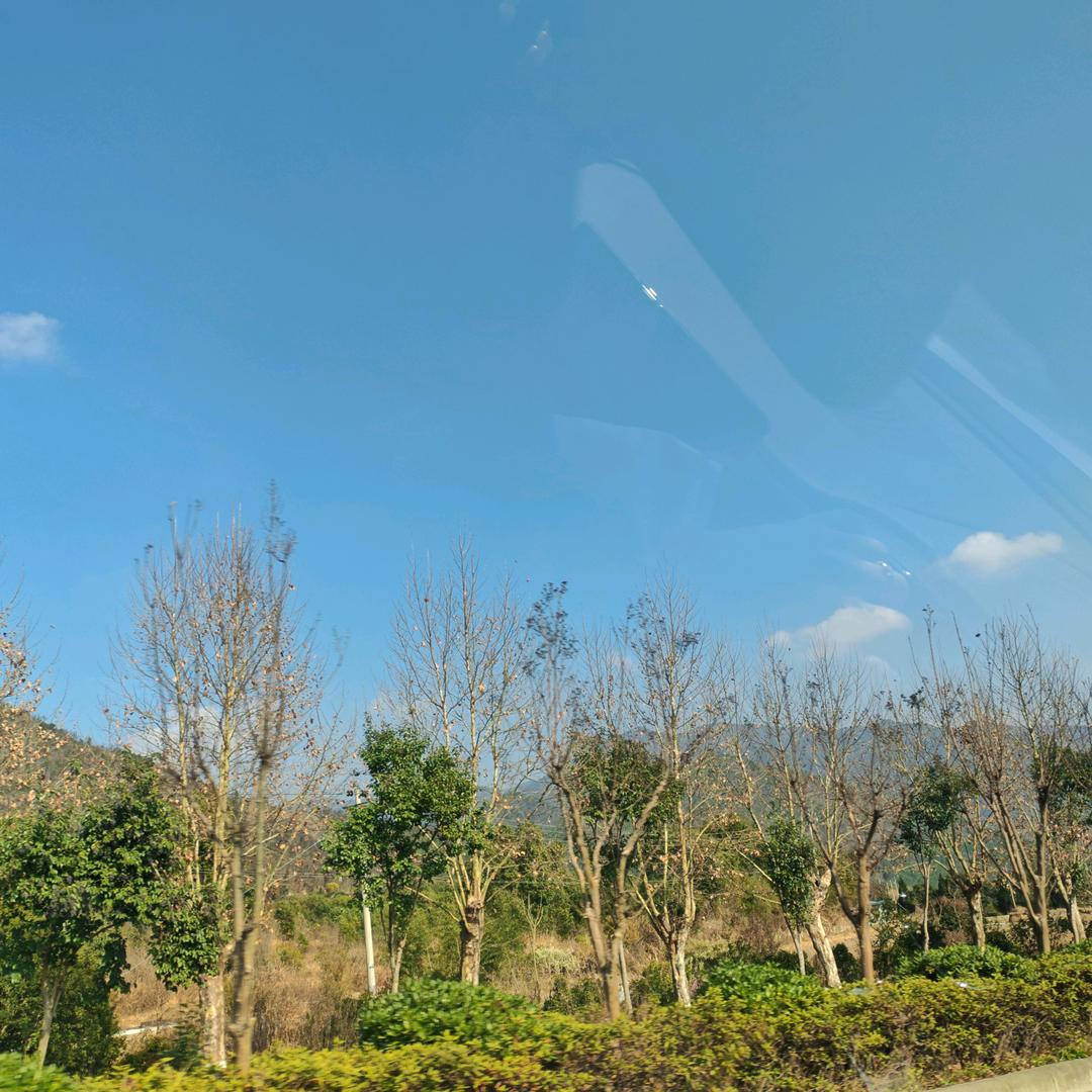 点儿点儿点🔆头像