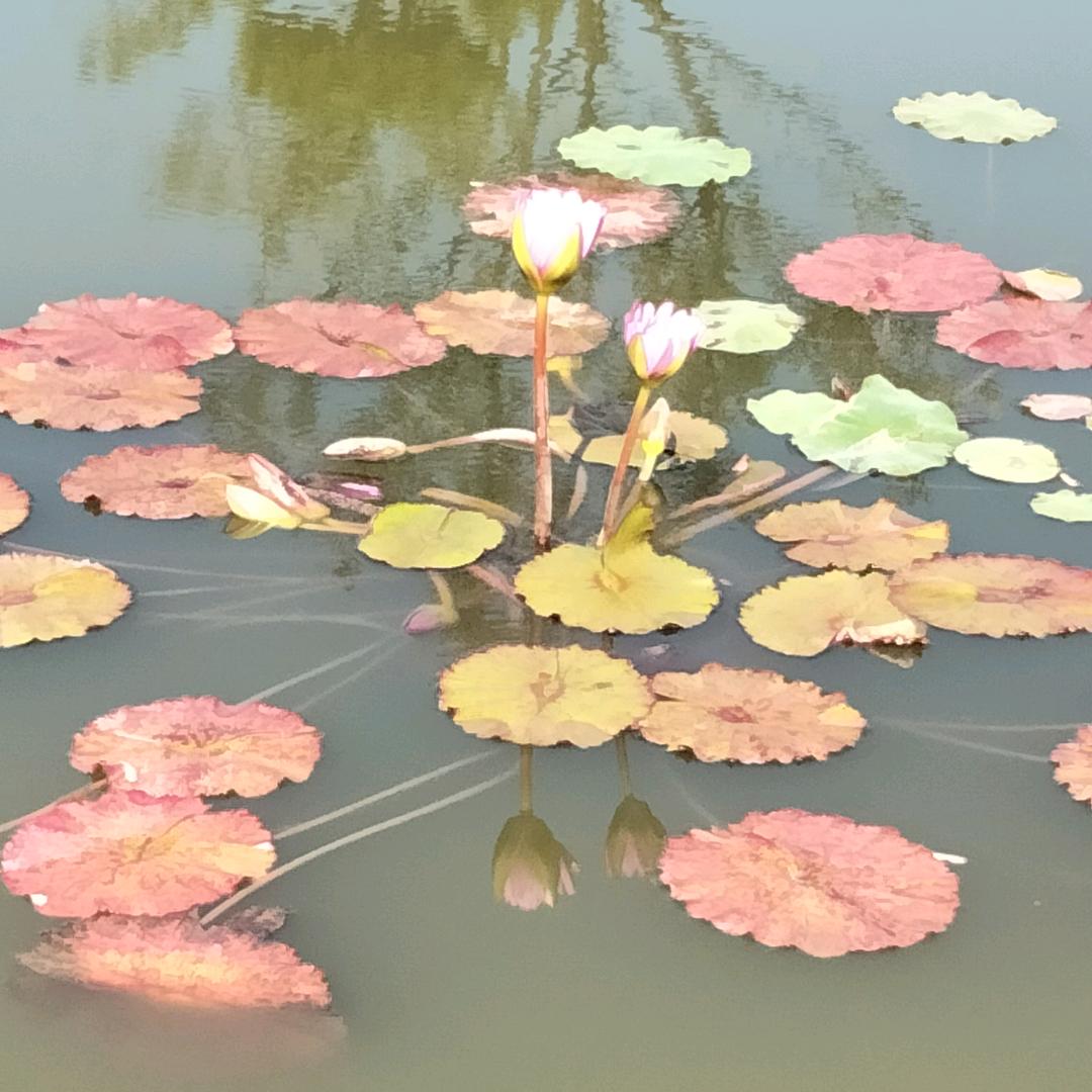 要想辛福靠自己