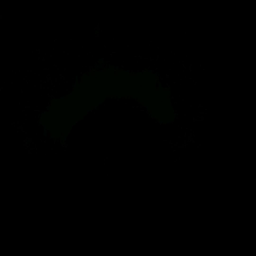 胡。。。。。。。。。