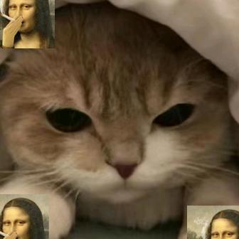 爱玩游戏的菜鸡