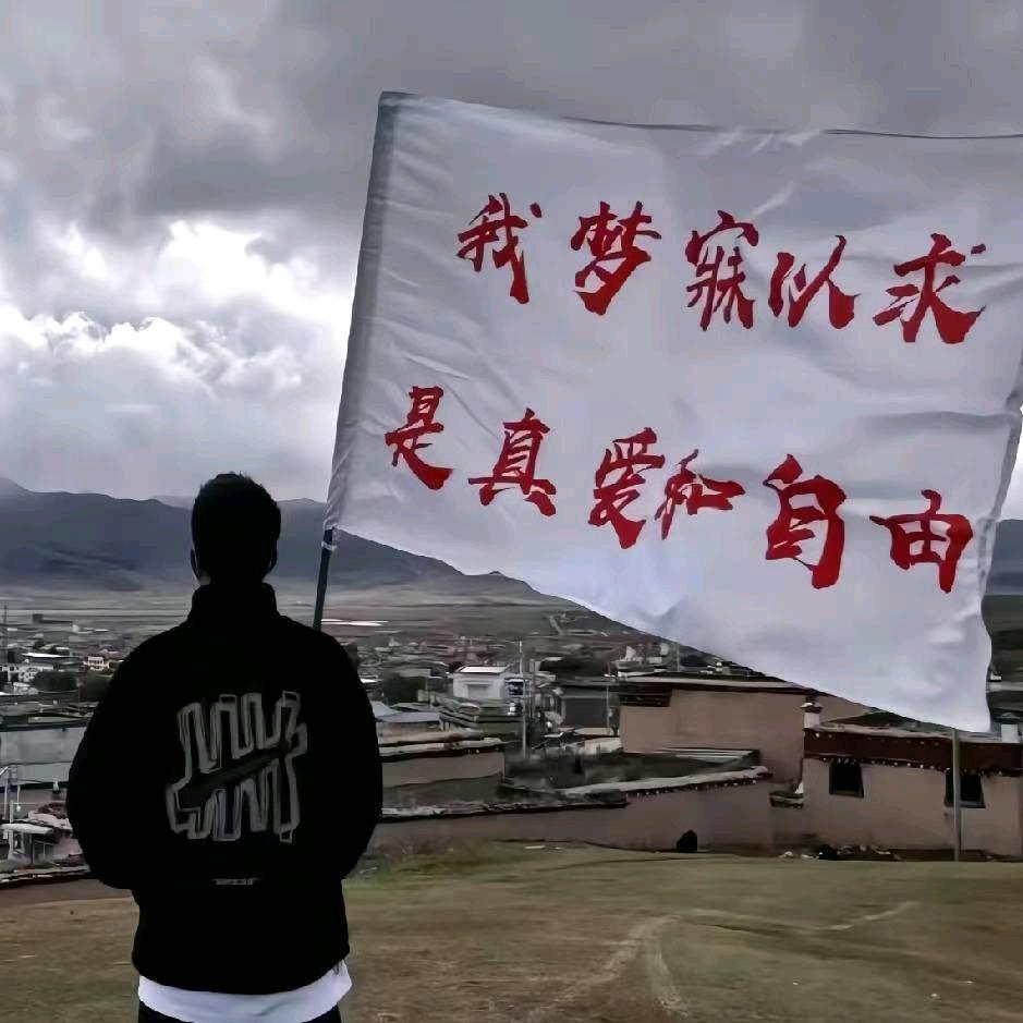 DD小牛