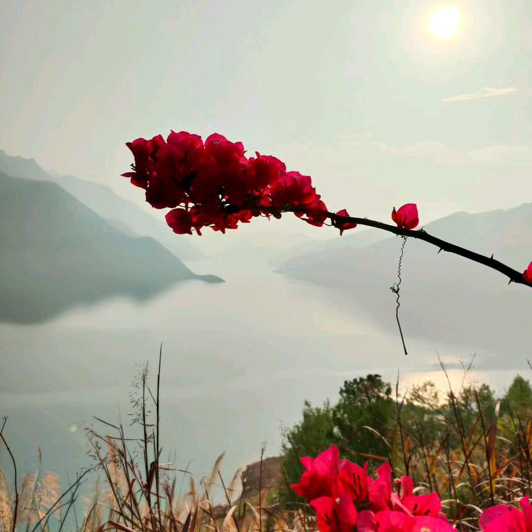 ～～浪迹天涯～～