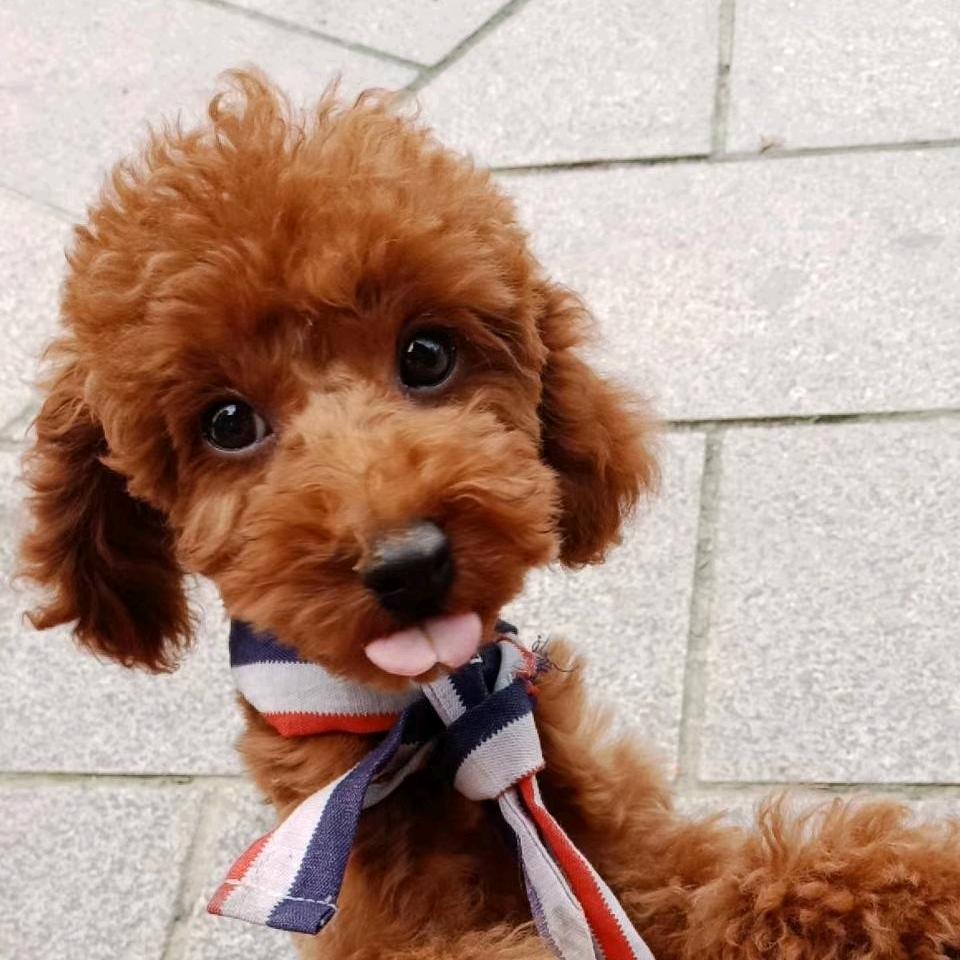 为你⠉̫⃝⠉̮⃝停留𓆸⋆*