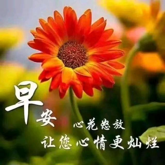 小舒妹