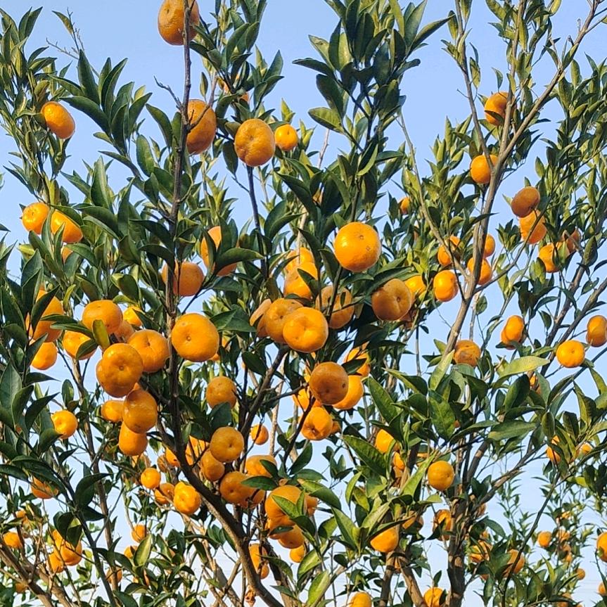 开心❤️每一天