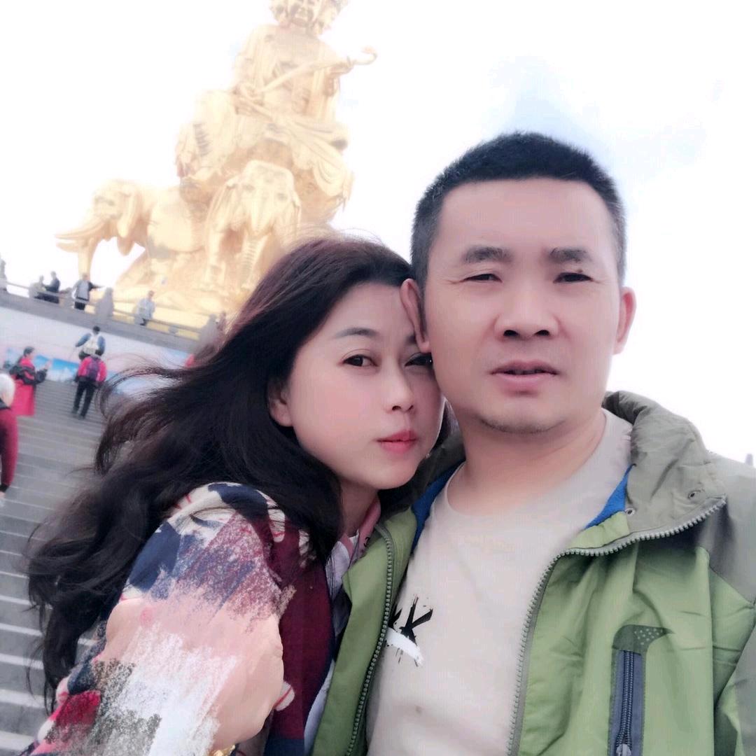 晓舞-鑫臻能源炭业总批发