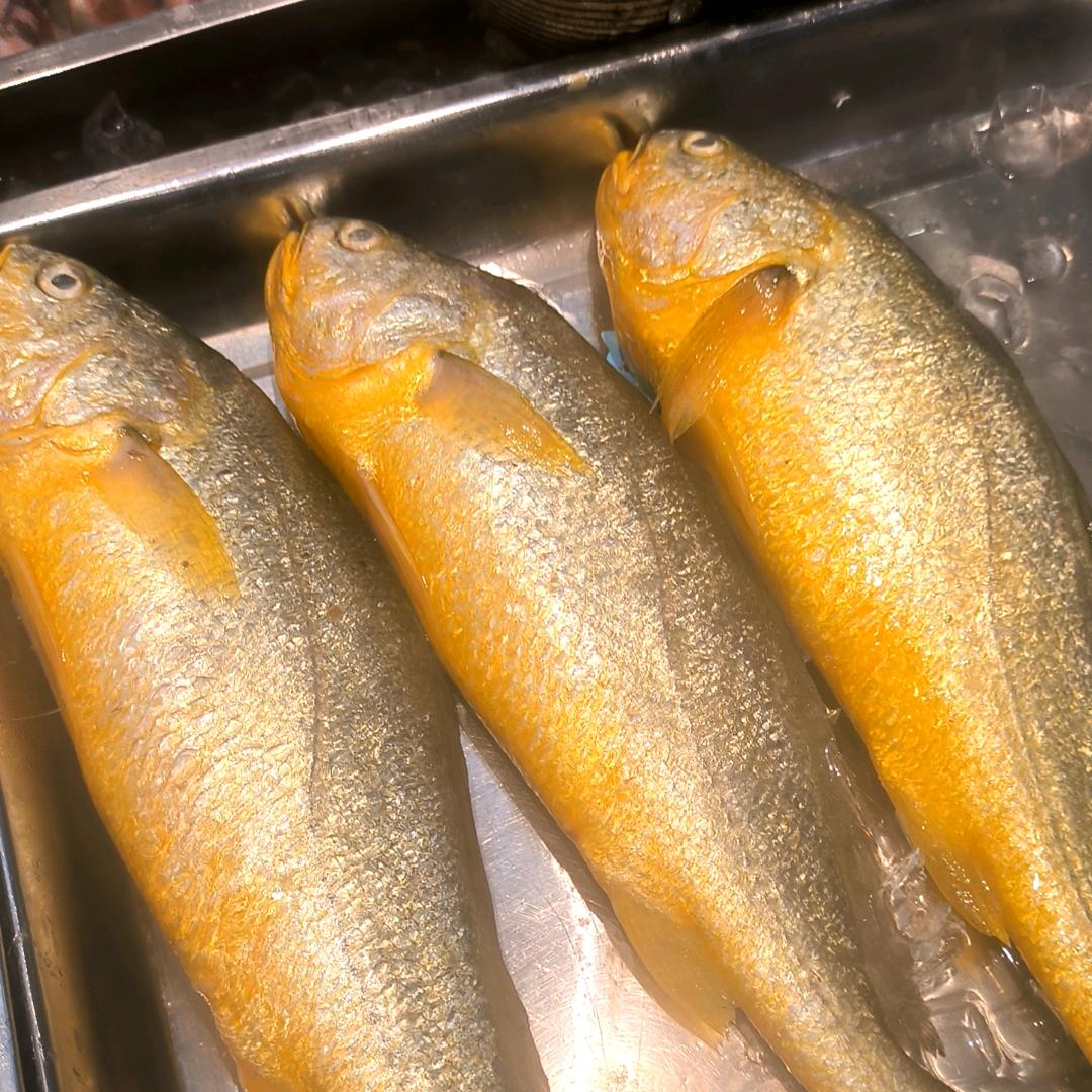 南昌小黄鱼批发