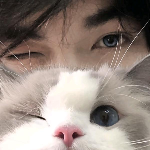 梨花书