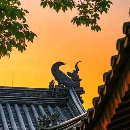 中飞