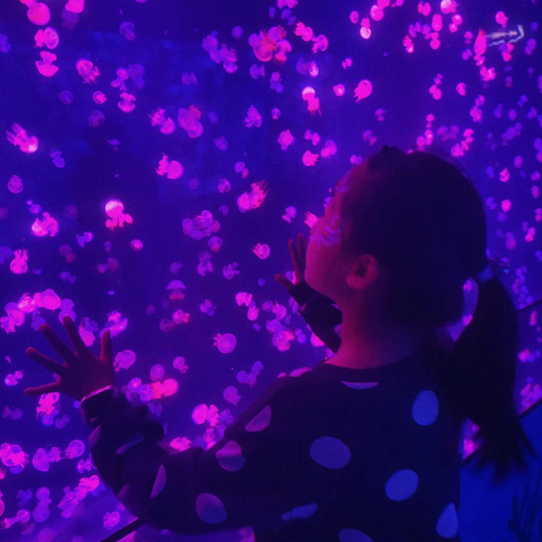 军嫂的带娃兵法