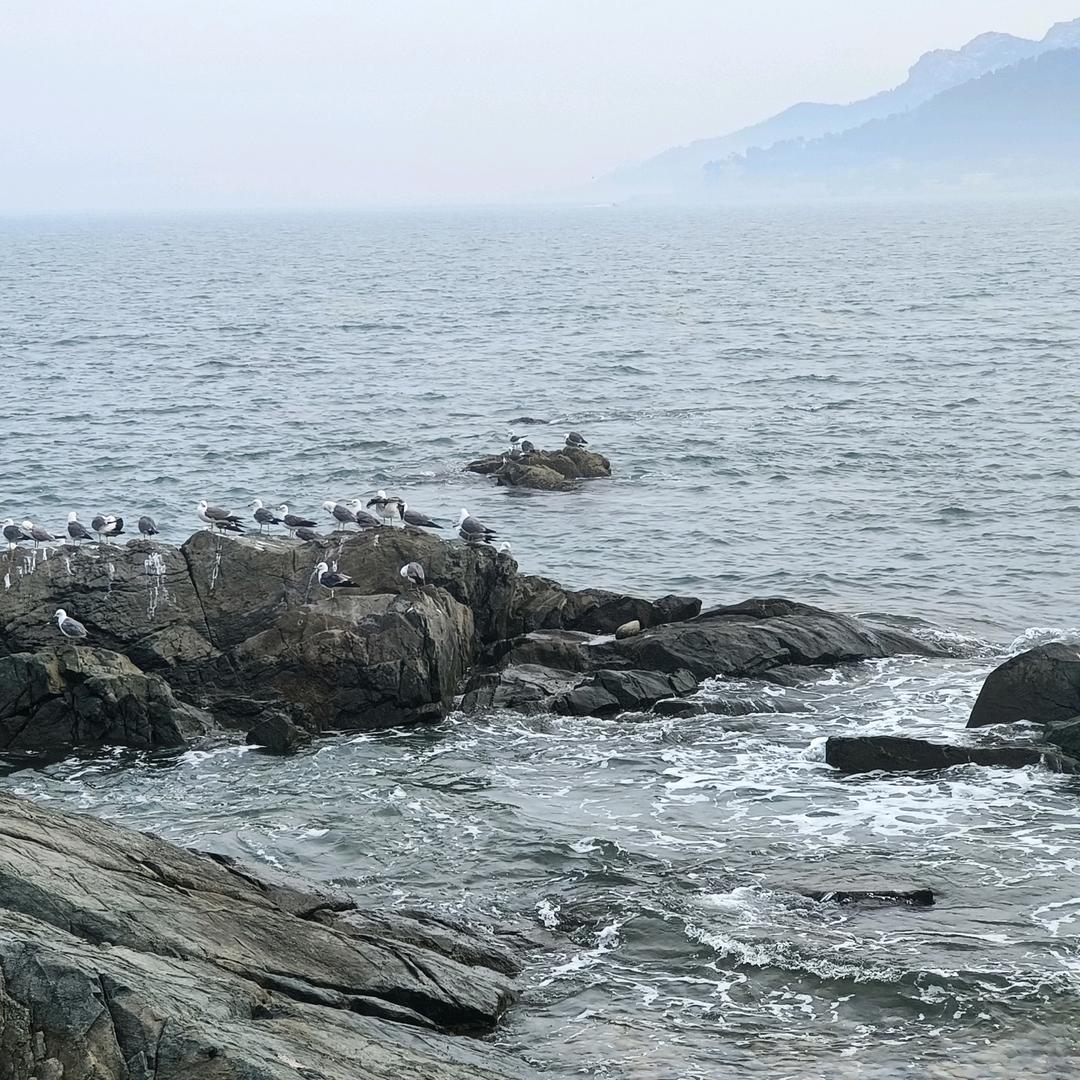 吃喝玩乐在海涯