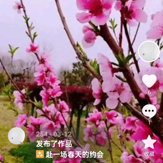 @老李