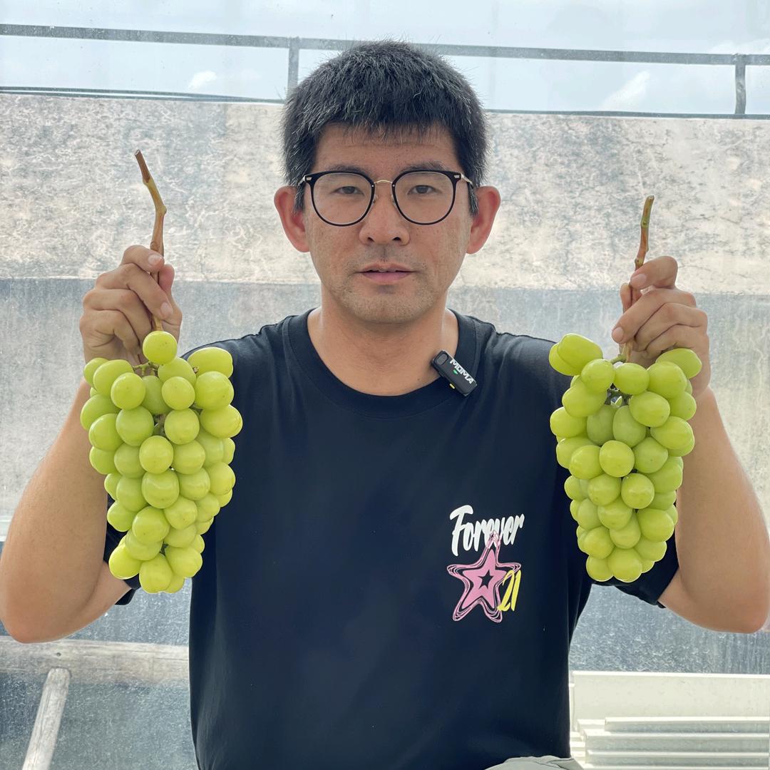 种葡萄的磊哥