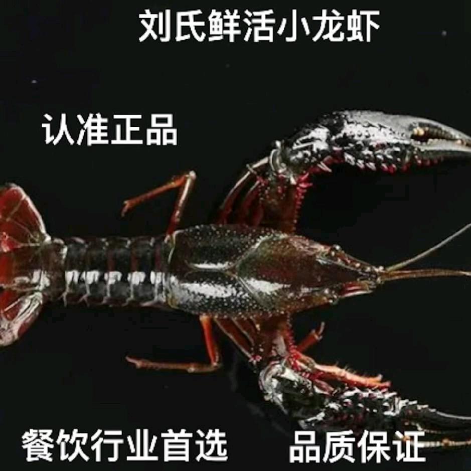 刘氏鲜活小龙虾