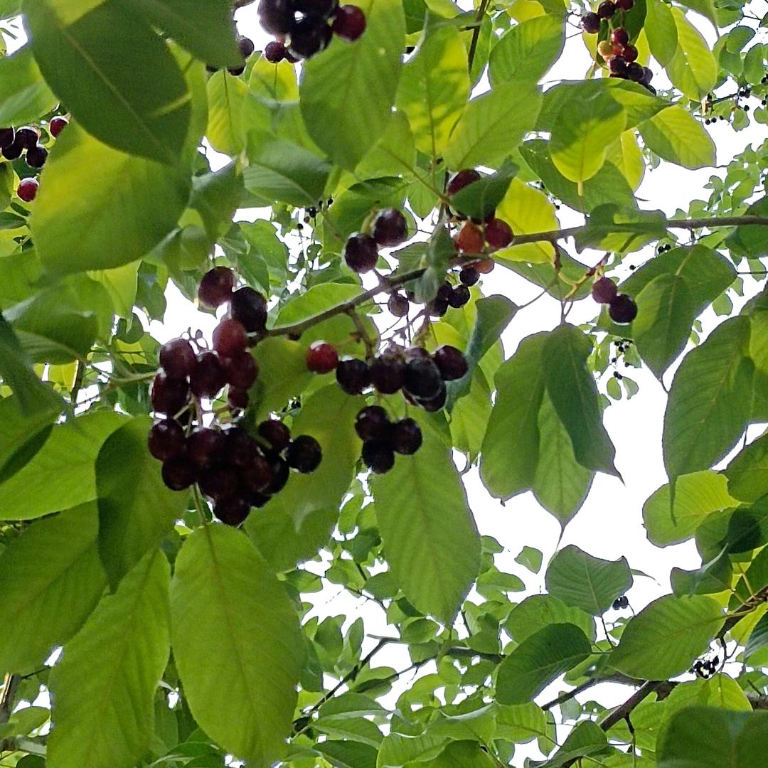 为自己而活自然年轻