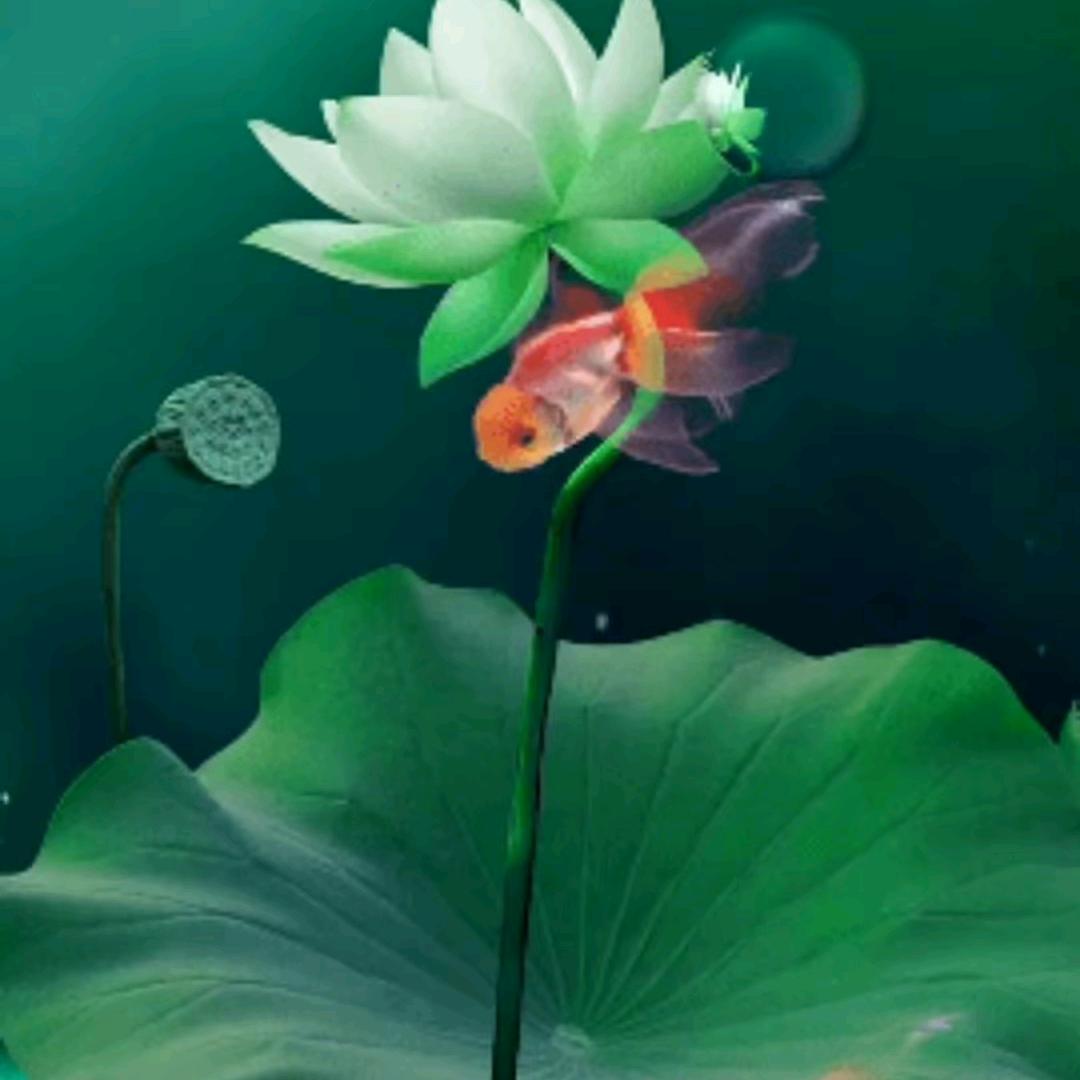 欣欣向荣👩🏻