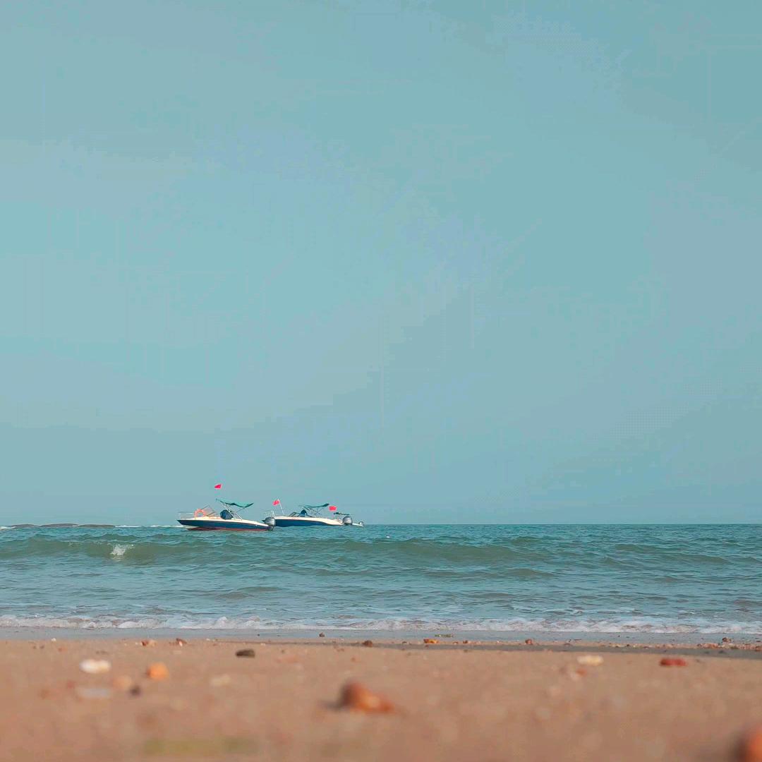 小陈同学'