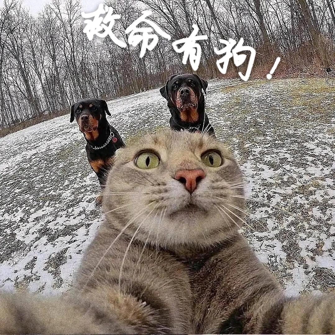 梦想中的梦很美好