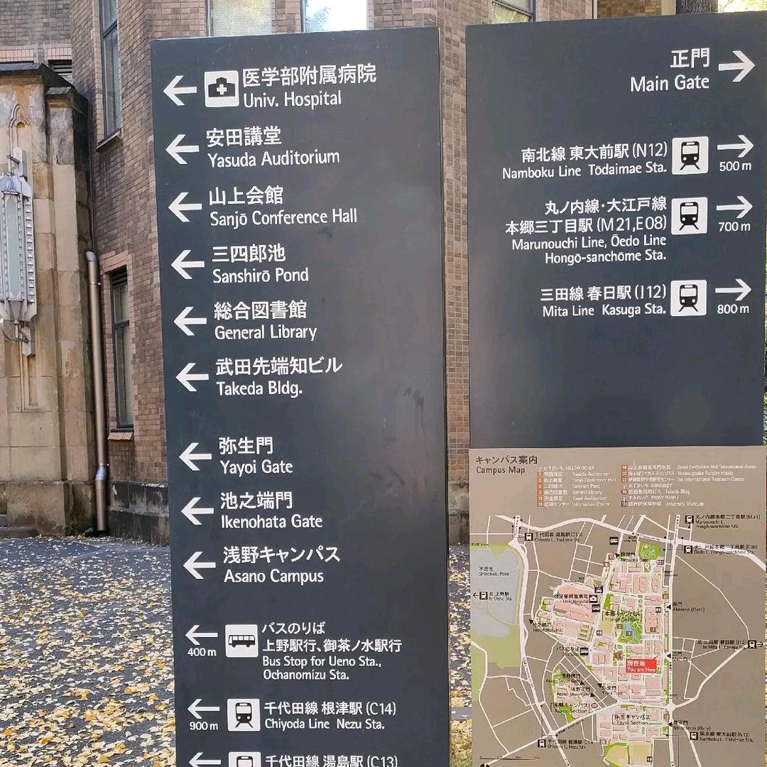 生命觉醒倒计时