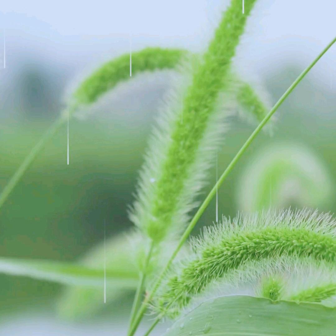 ●旧旧的味道●