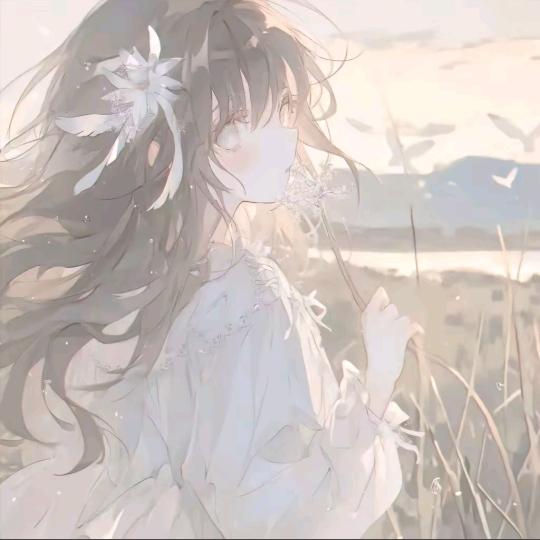 恬雨TY