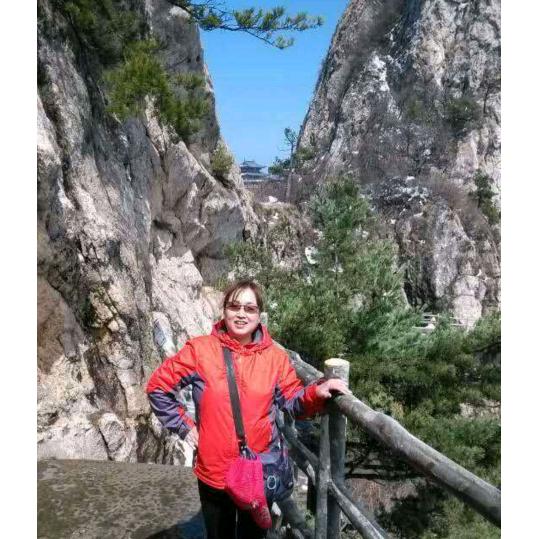 盛开的金达来花