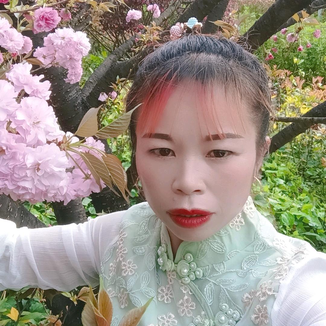 飘飘！我的心已被你伤透了