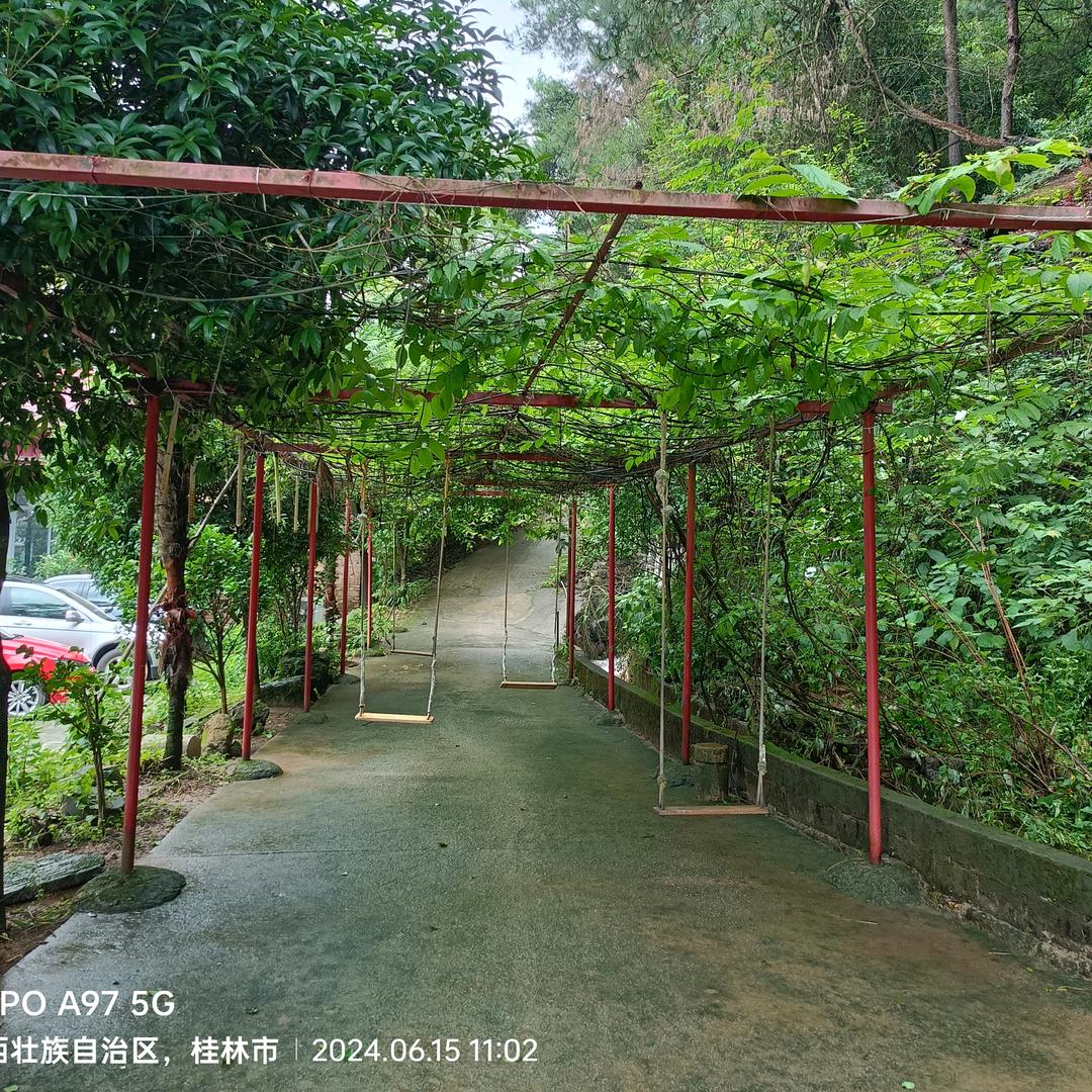 我是家的小姐姐