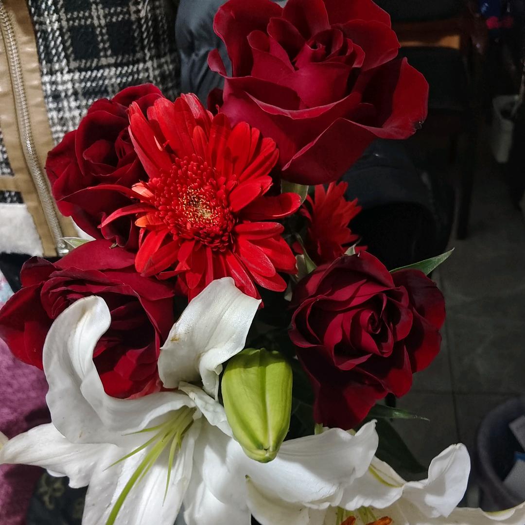 涵涵      翔翔