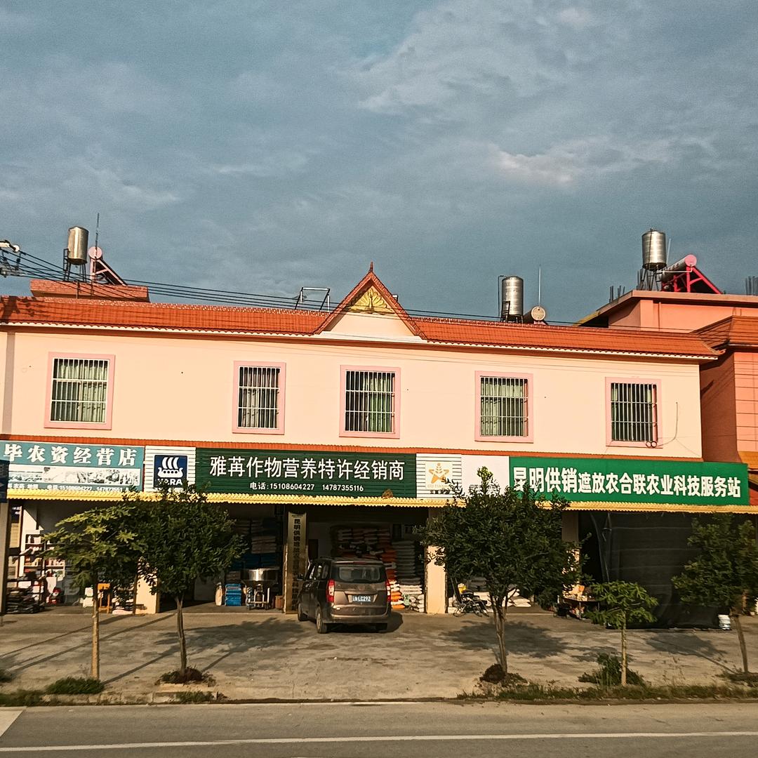 遮放 刘毕农资 经营部