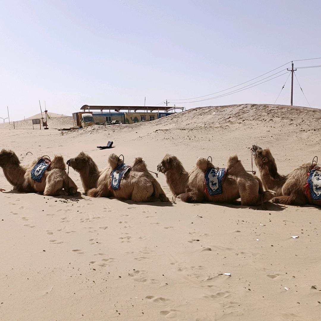 随遇而安开心快乐