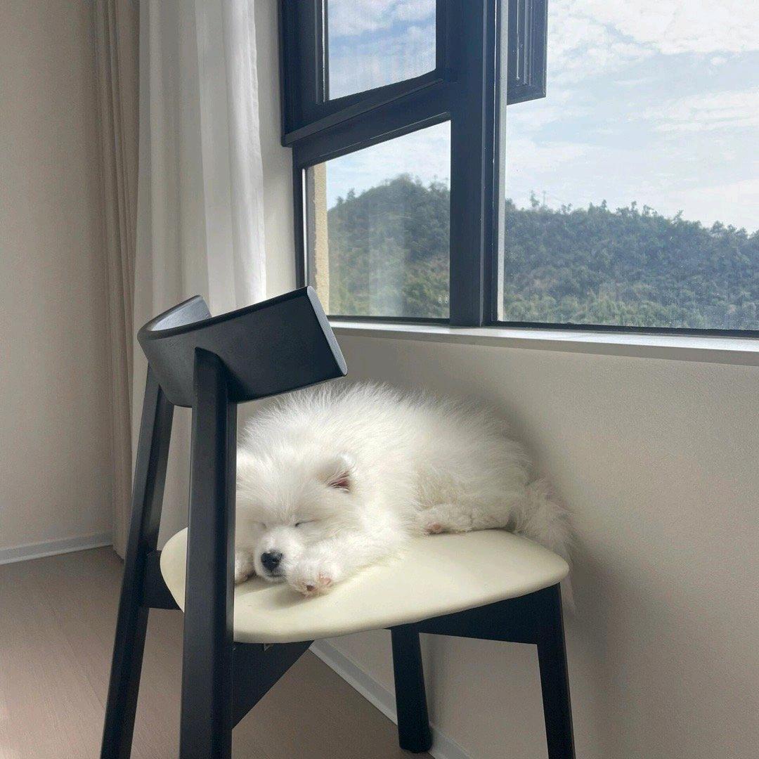 苦瓜给你吃头像
