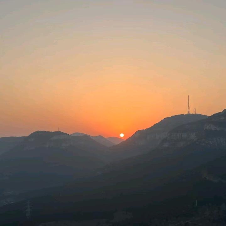 华如桃李