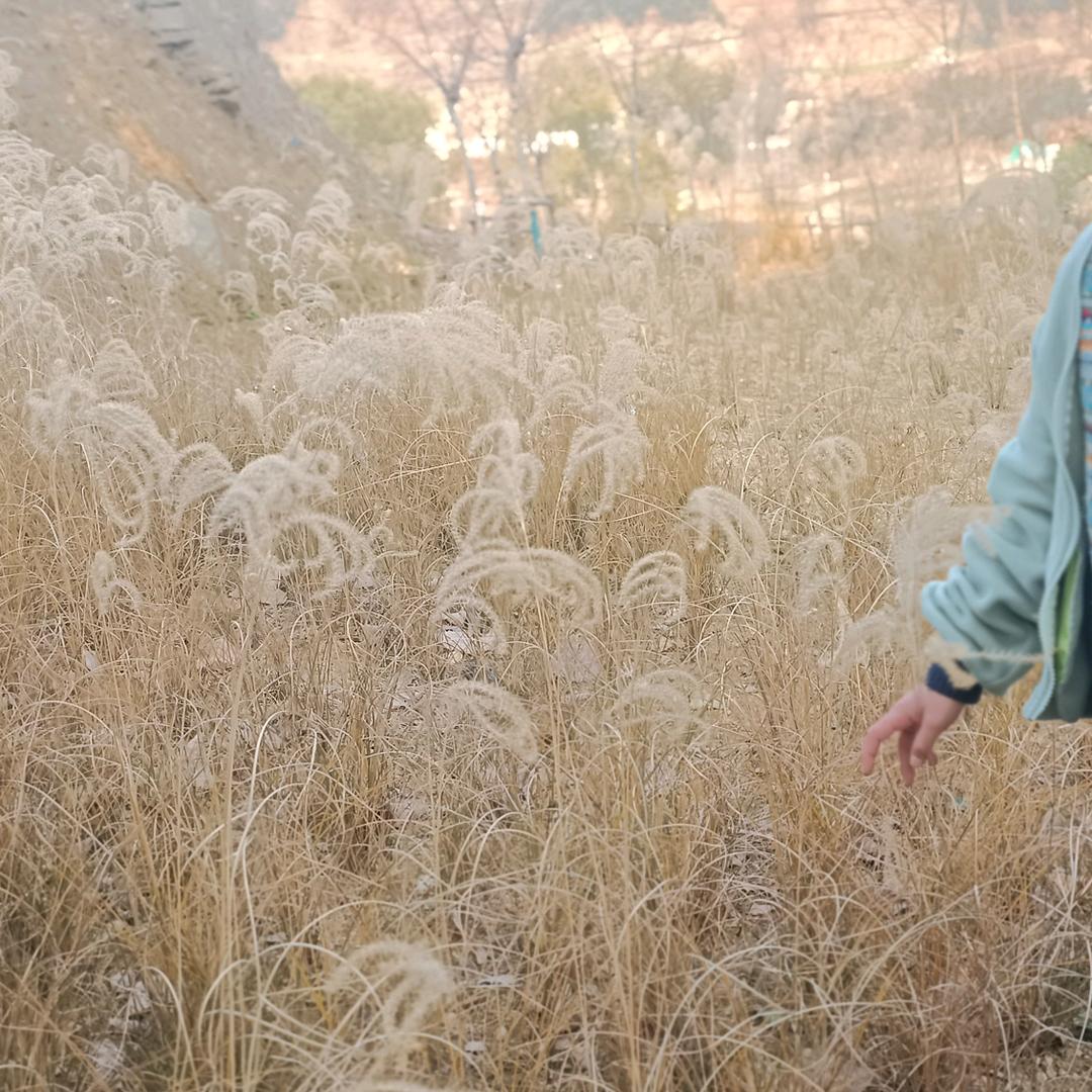 【山海疗愈站】