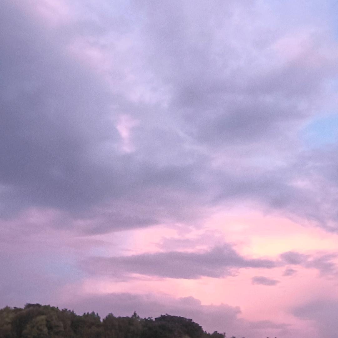 小朱z