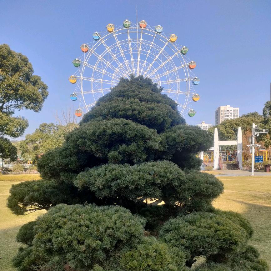 真心换不了真情