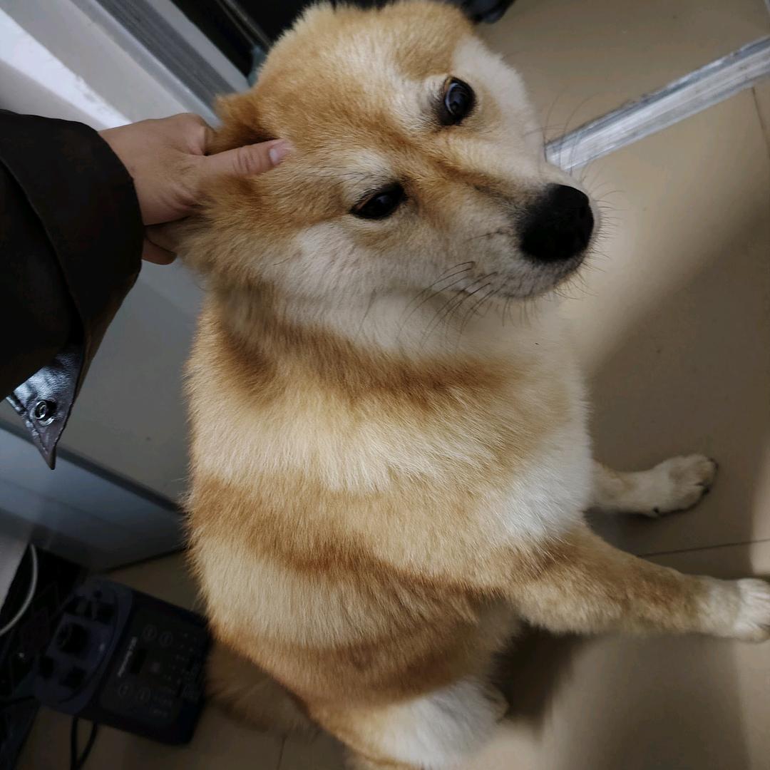 小雯雯