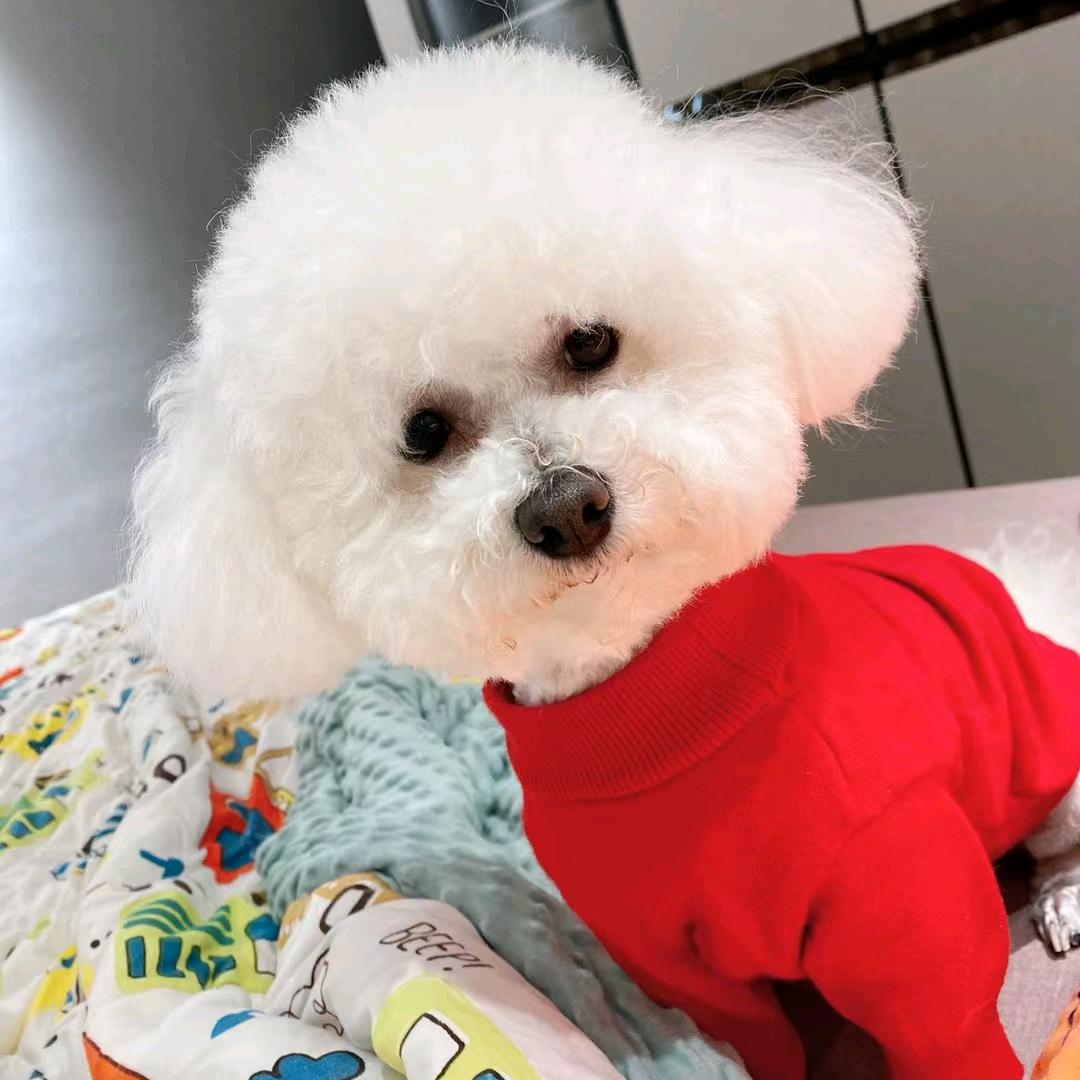 可爱滴乐乐🐶