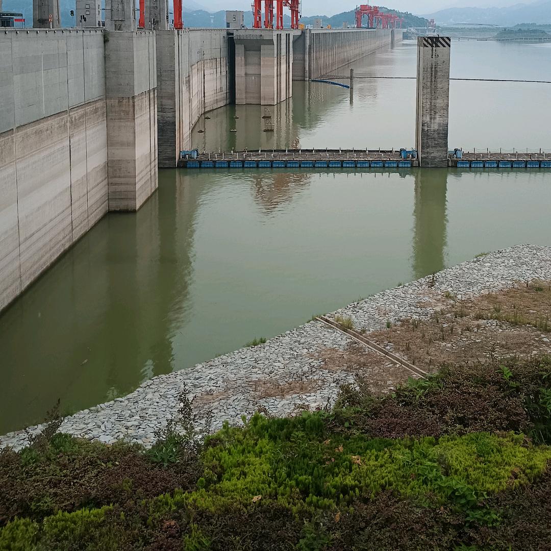 秦